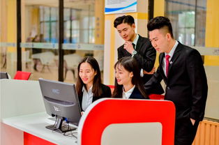 四川科技職業(yè)學(xué)院云財(cái)經(jīng)學(xué)院 信息技術(shù)咨詢服務(wù)的專業(yè)支撐